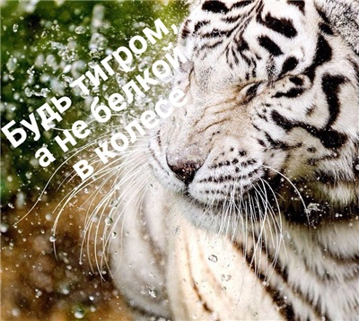 [Нико Бауман] Марафон_ Исполнение желаний за 180 д_0.png